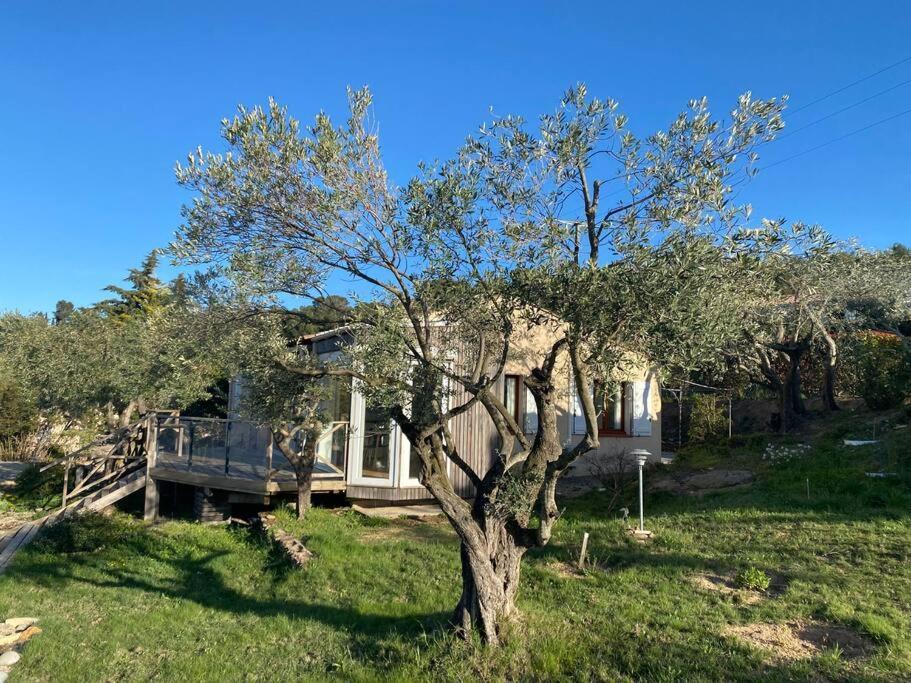 Neuve Romantique Montbrun-des-Corbieres Exterior photo